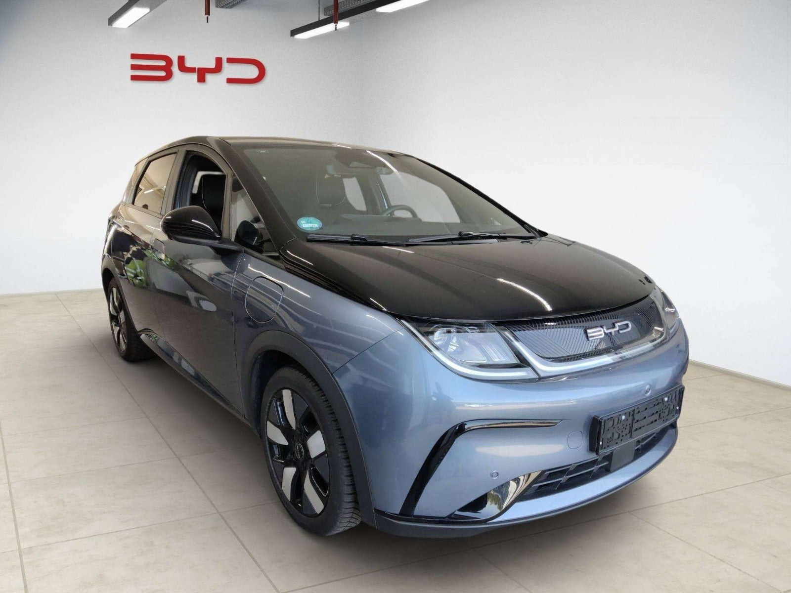 BYD Dolphin 60 Design