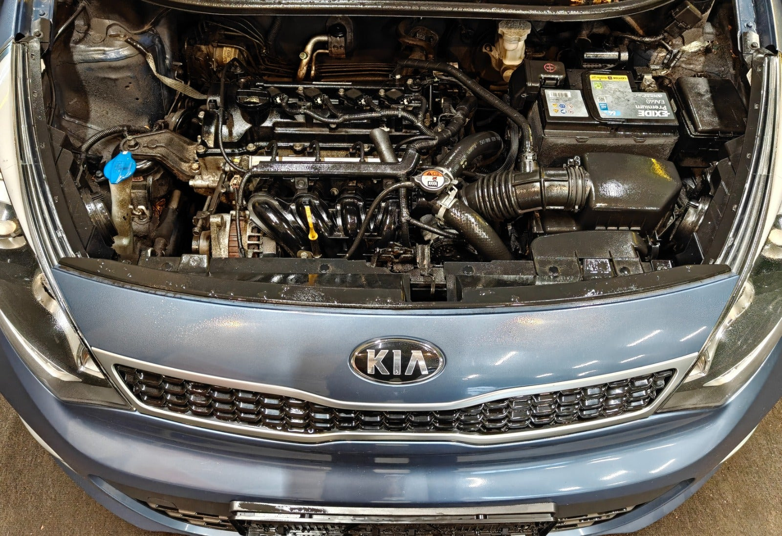 undefined Kia Rio fra 2016