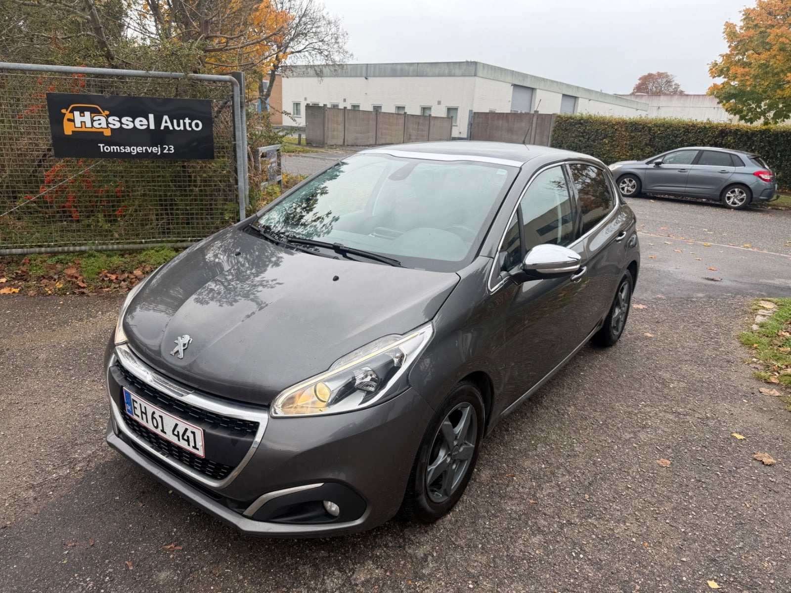 Peugeot 208 1,6 BlueHDi 100 Chili Sky+