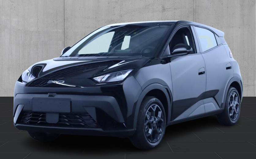 BYD Dolphin Surf 43 Boost