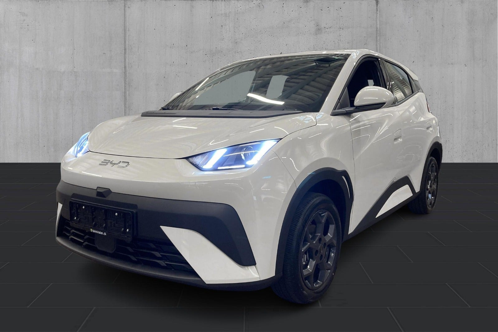 Hvid BYD Dolphin Surf fra 2025