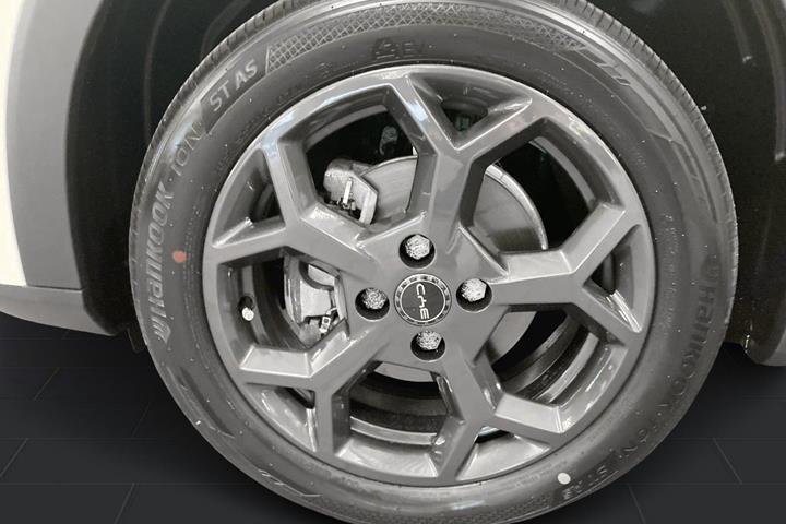Hvid BYD Dolphin Surf fra 2025