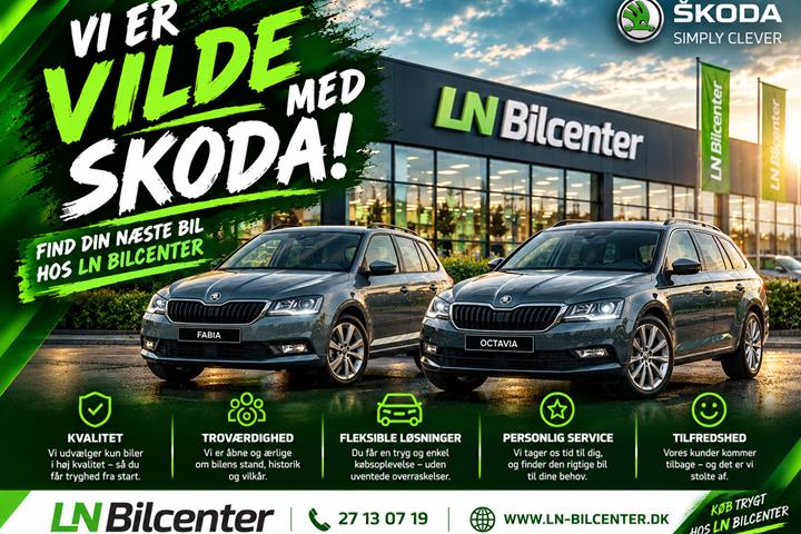 Sort Skoda Fabia fra 2015