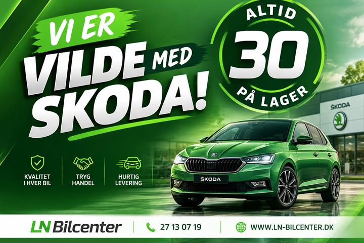 Sølv Skoda Fabia fra 2017