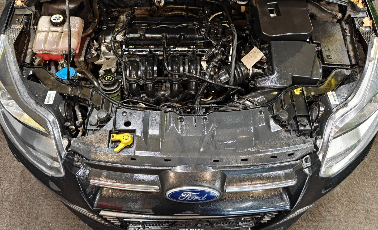 undefined Ford Focus fra 2012