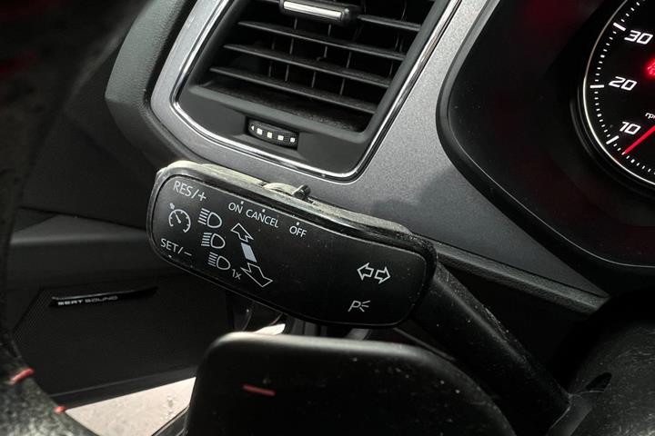 Grøn Seat Leon fra 2015