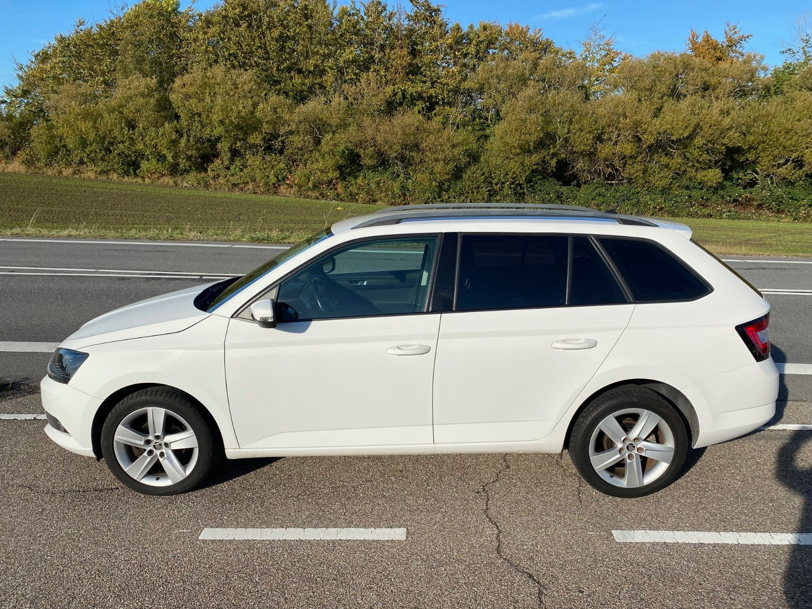 Hvid Skoda Fabia fra 2016