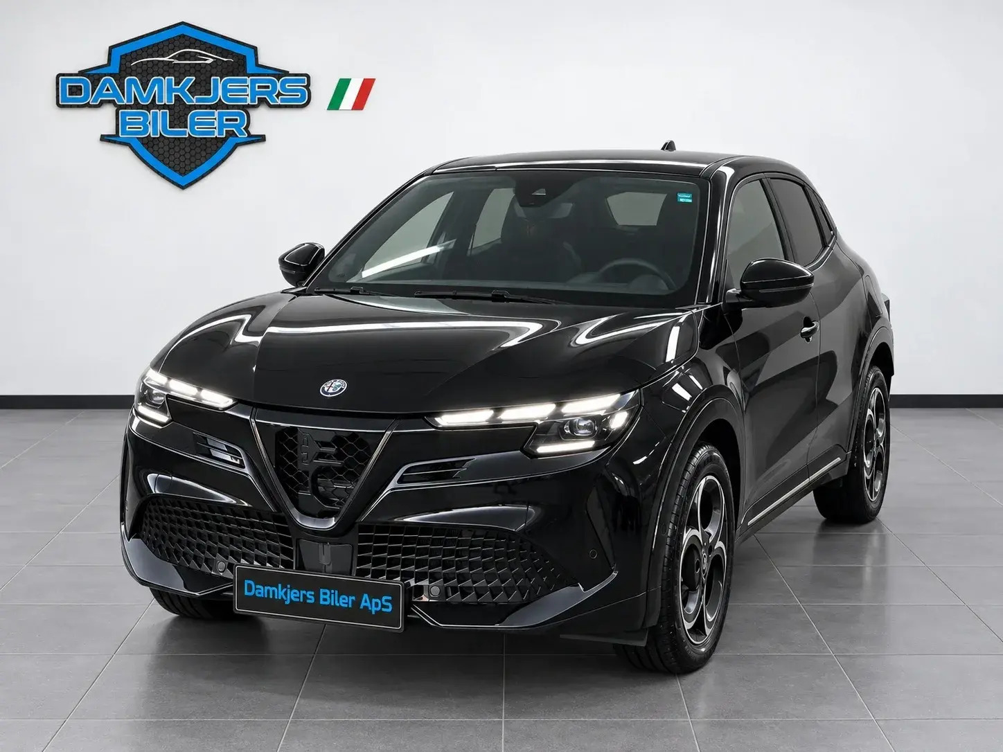 Alfa Romeo Junior Elettrica Speciale