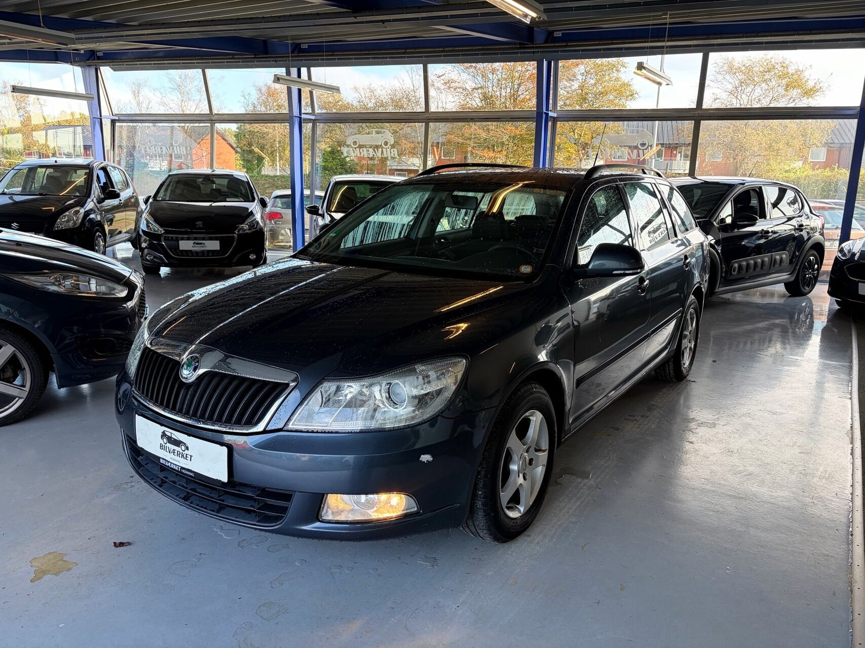 Skoda Octavia 1,6 Combi Commonrail DPF Ambiente 105HK Stc