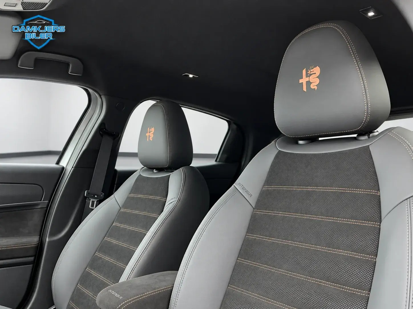Grå Alfa Romeo Junior fra 2025