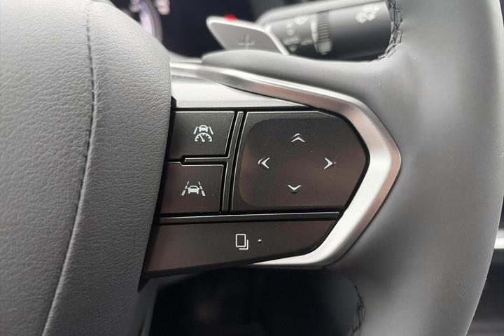 Sort Lexus RZ fra 2026