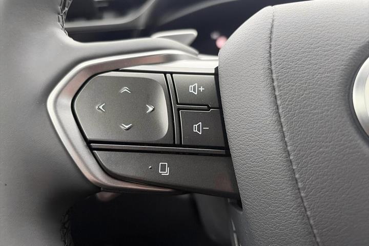 Sort Lexus RZ fra 2026
