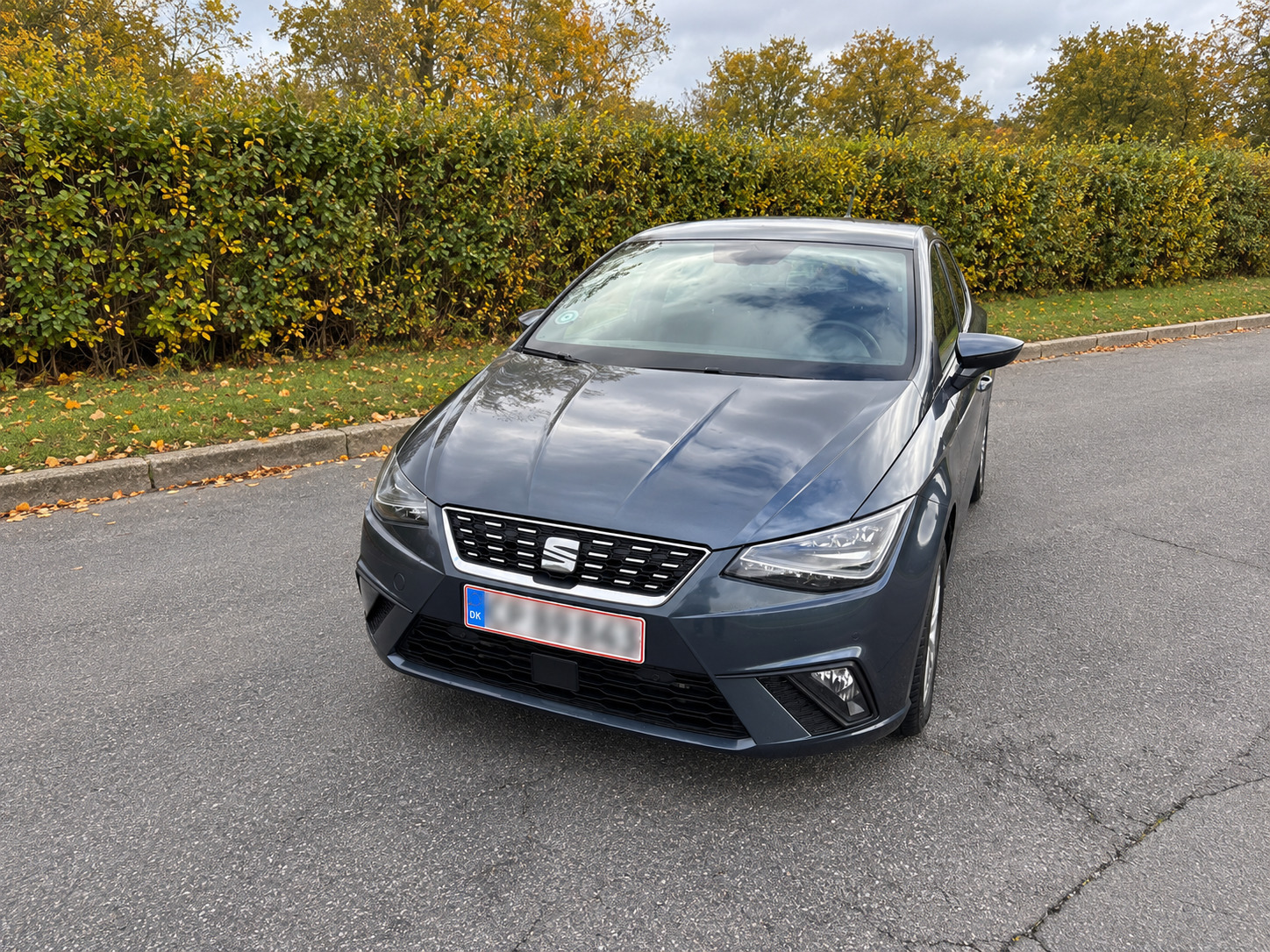 Grå Seat Ibiza fra 2020