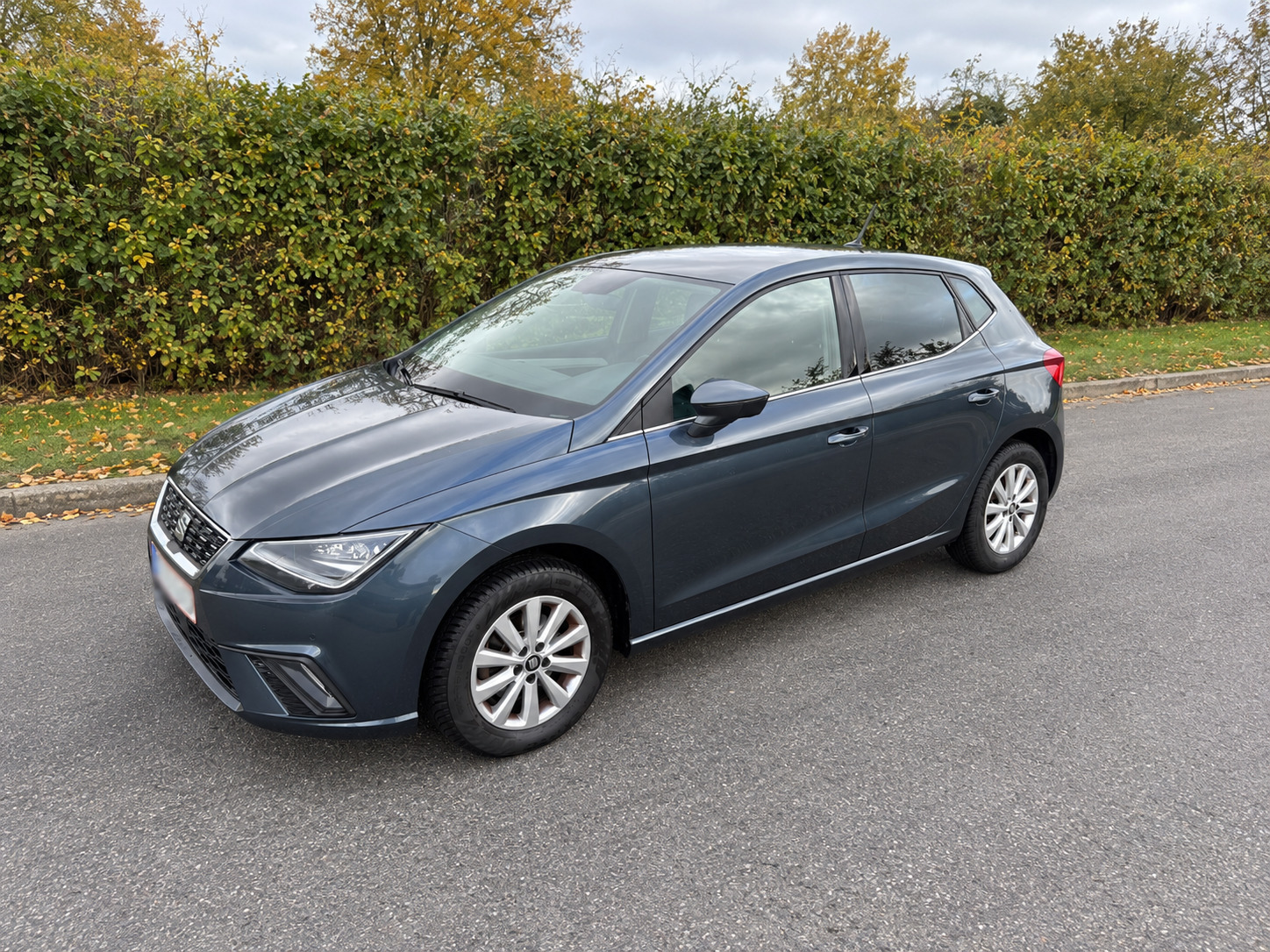 Grå Seat Ibiza fra 2020