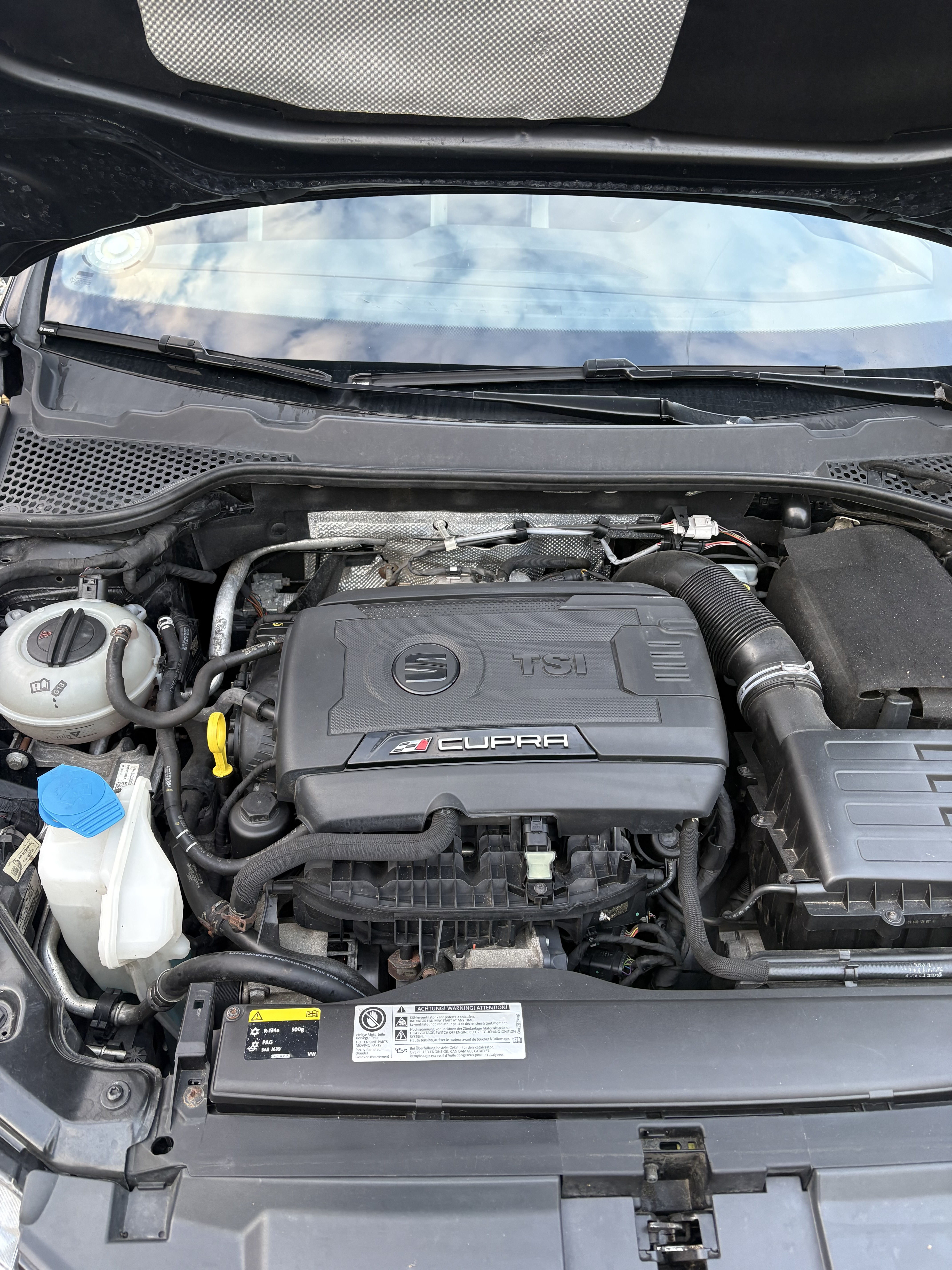 Sort Seat Leon fra 2014