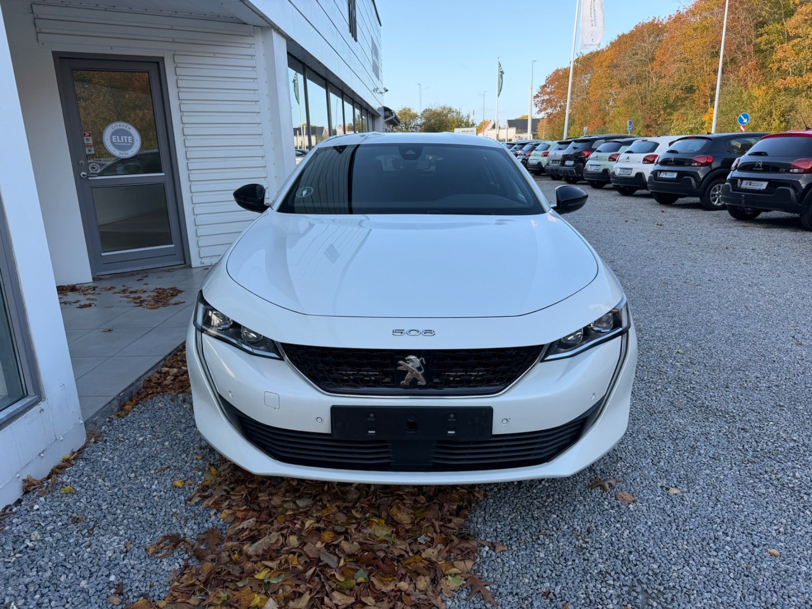 Hvid Peugeot 508 fra 2020