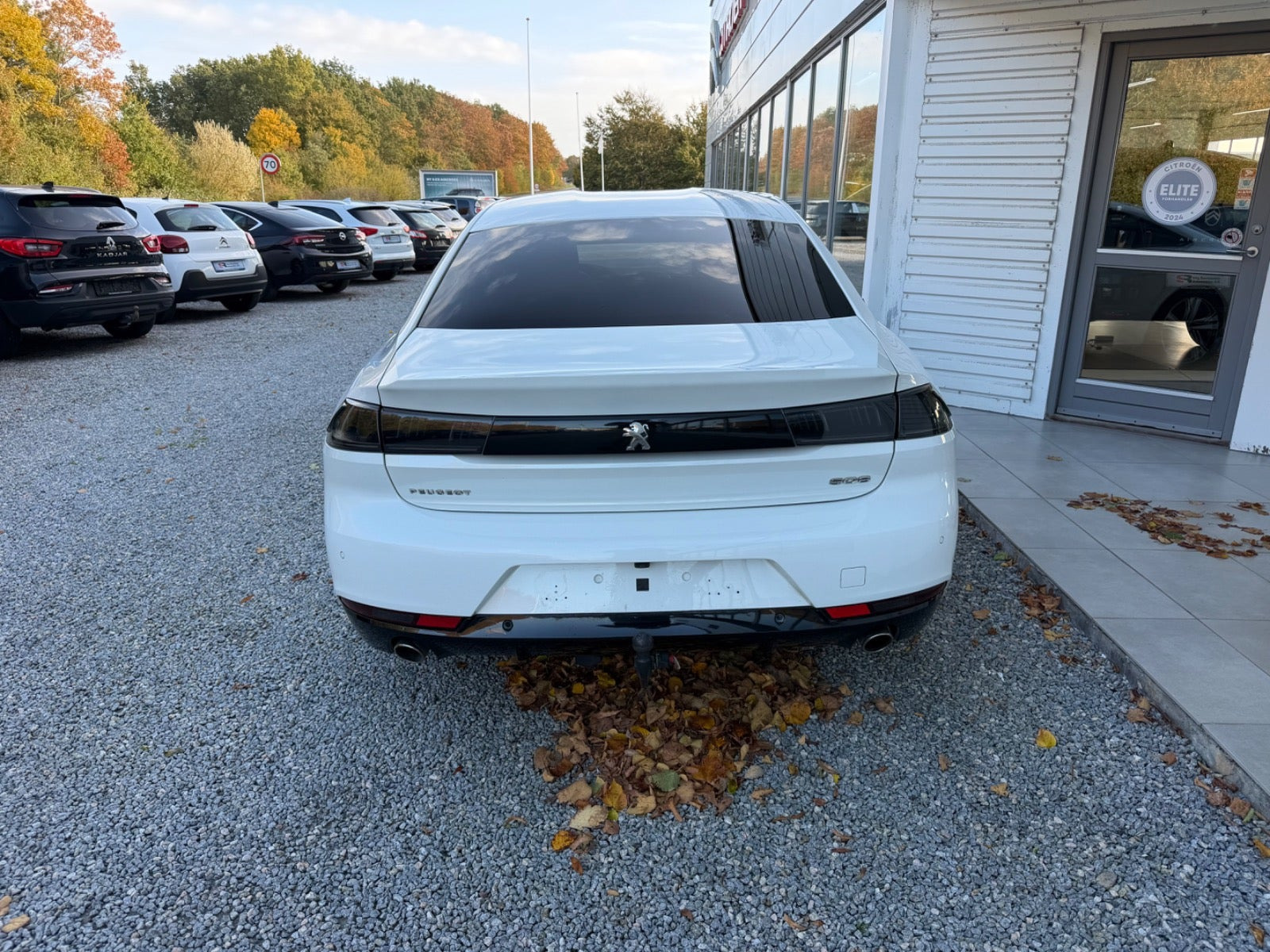 Hvid Peugeot 508 fra 2020