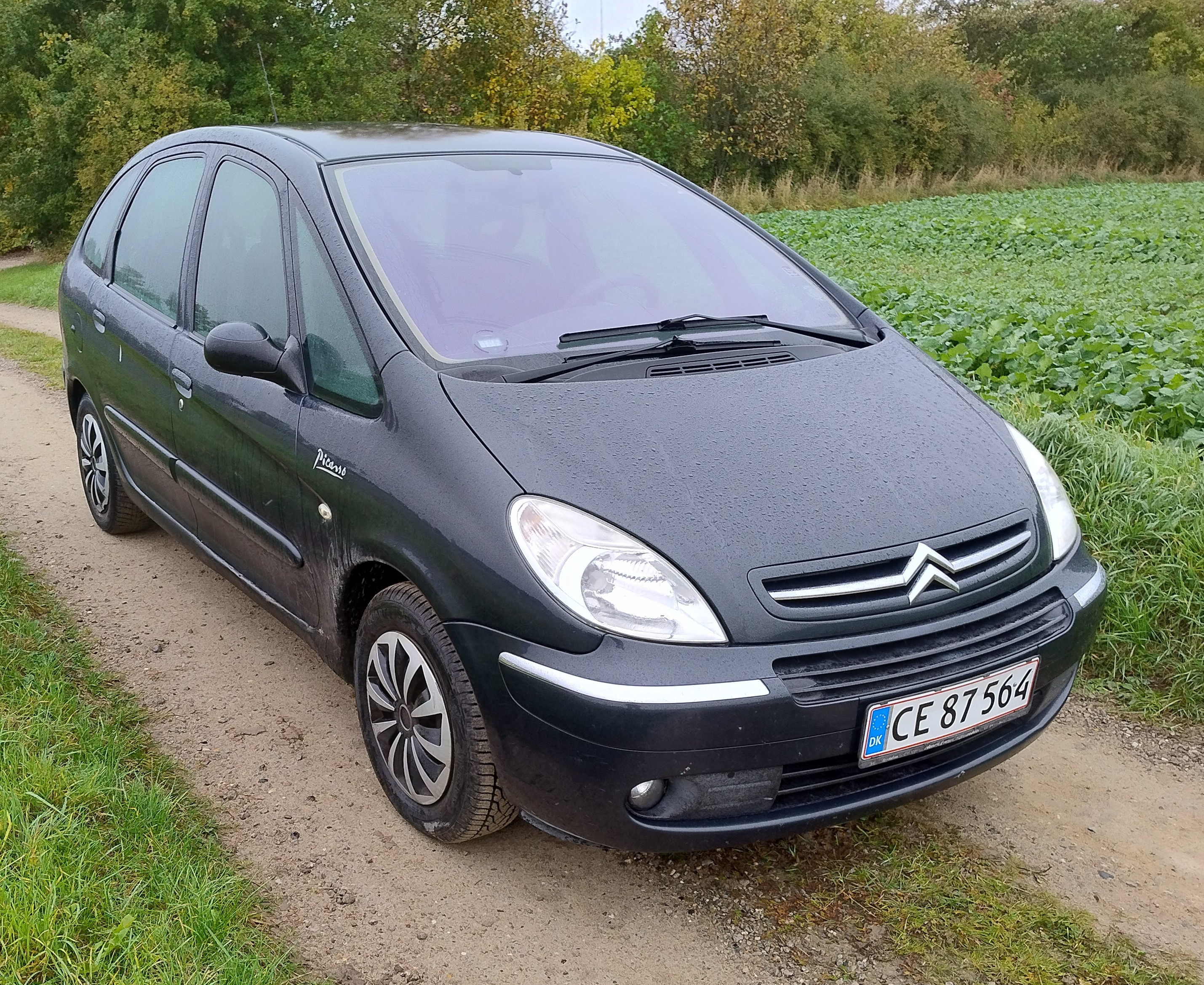 undefined Citroën Xsara Picasso fra 2004