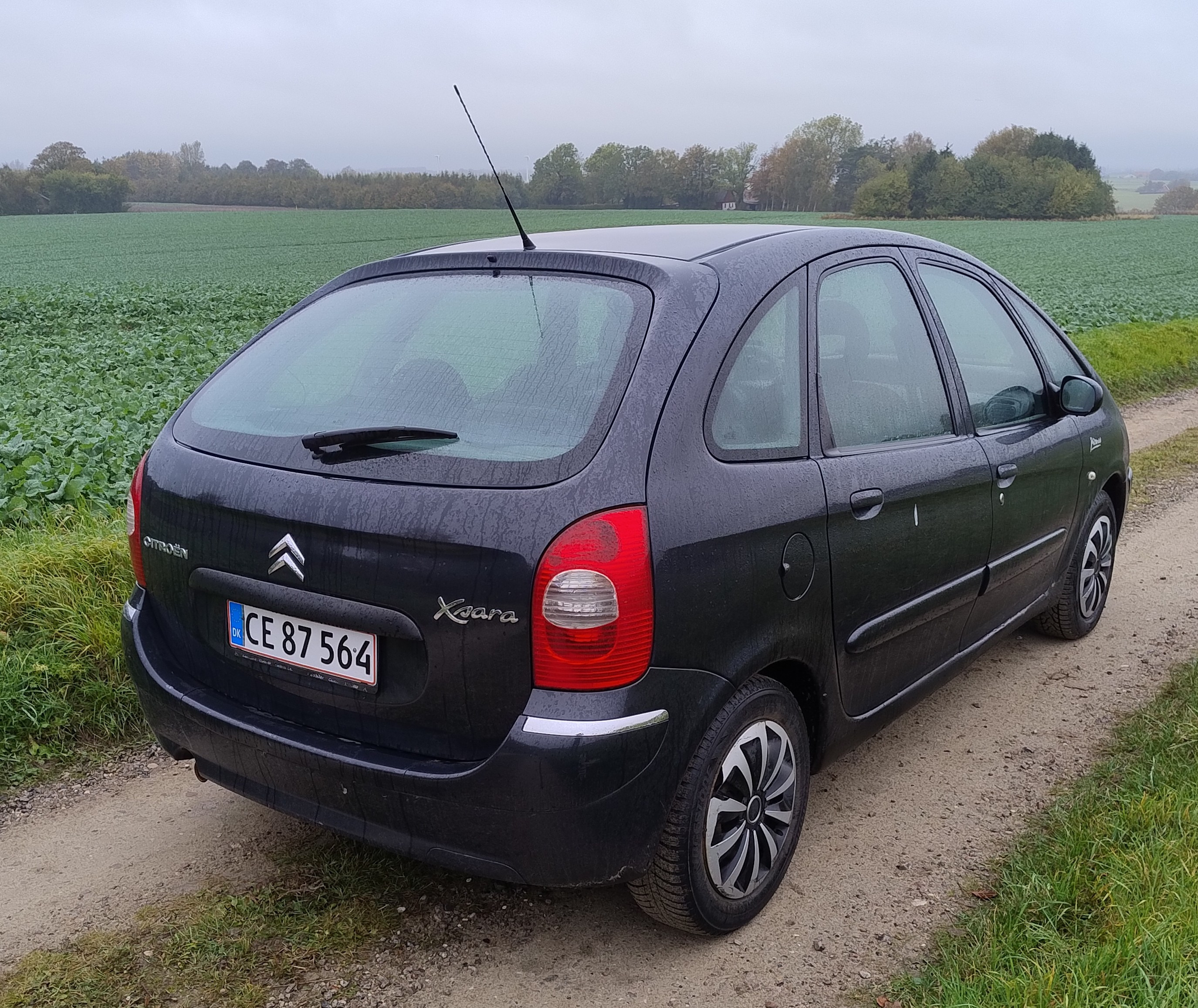 undefined Citroën Xsara Picasso fra 2004