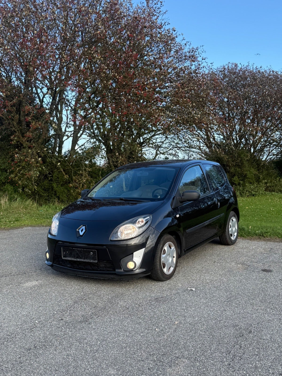 undefined Renault Twingo fra 2011