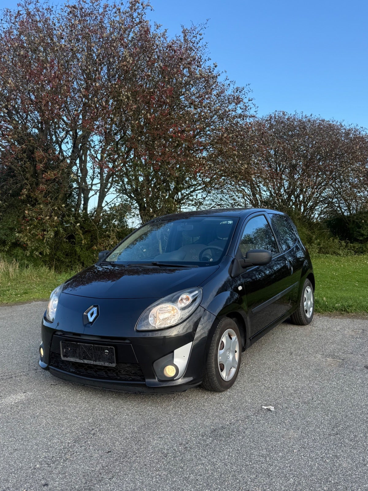 undefined Renault Twingo fra 2011