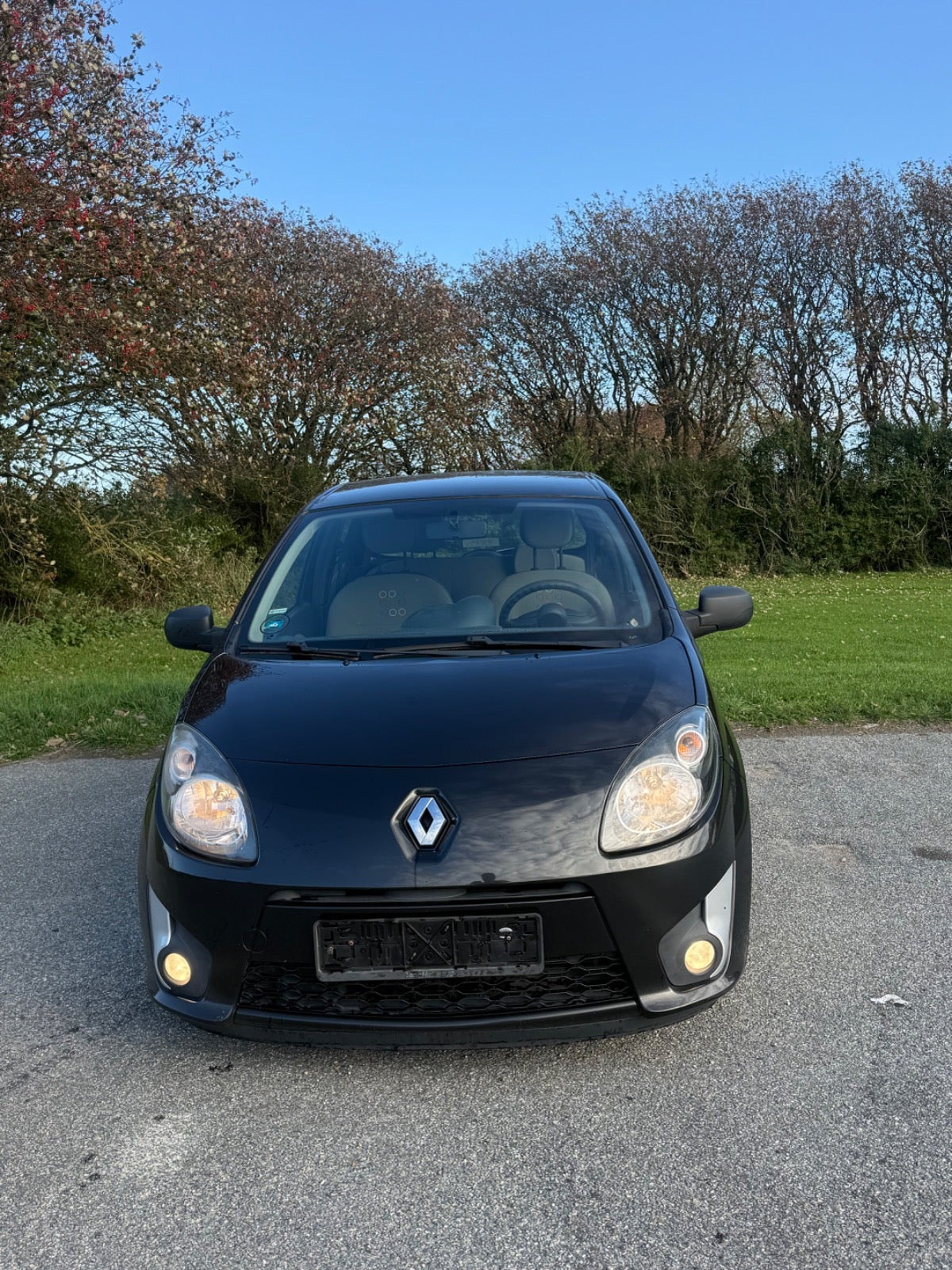 undefined Renault Twingo fra 2011