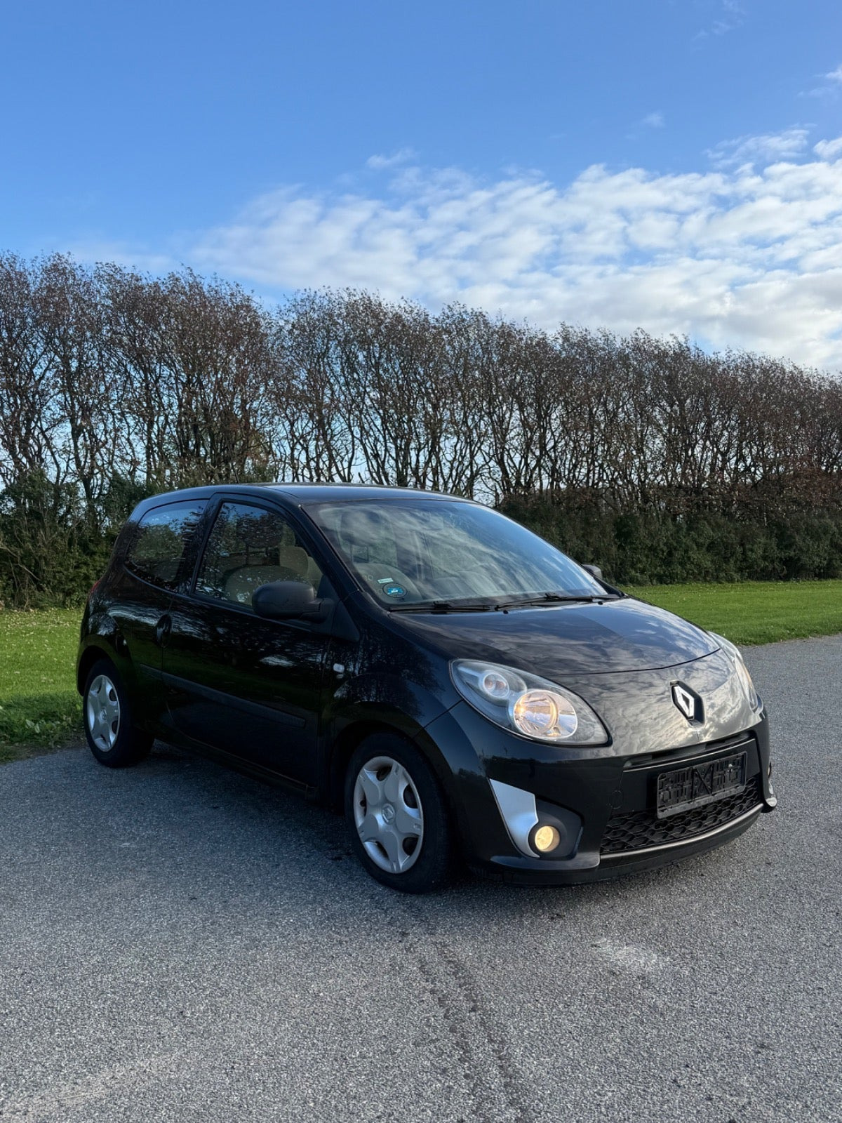 undefined Renault Twingo fra 2011