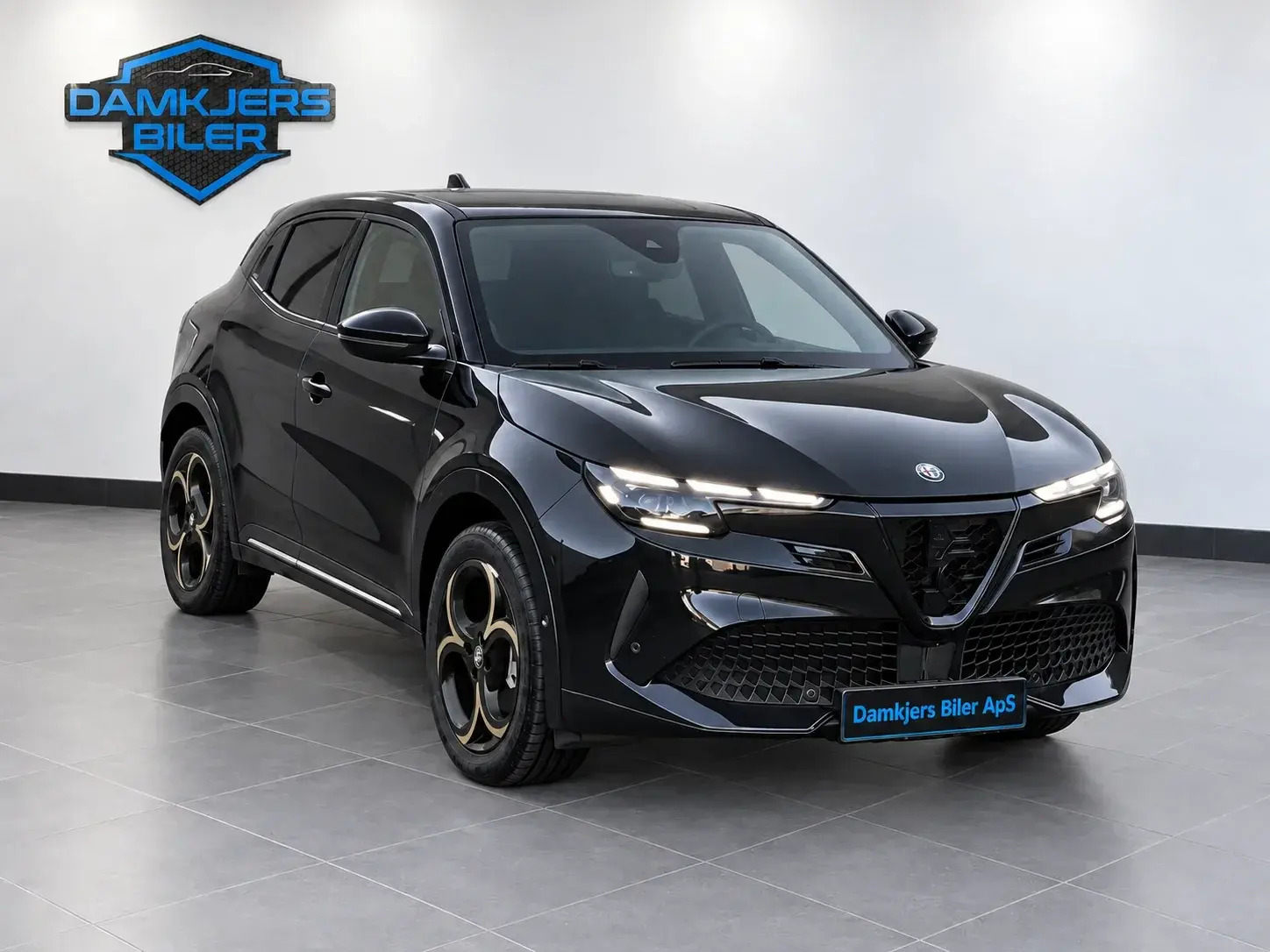 Alfa Romeo Junior Elettrica Intensa