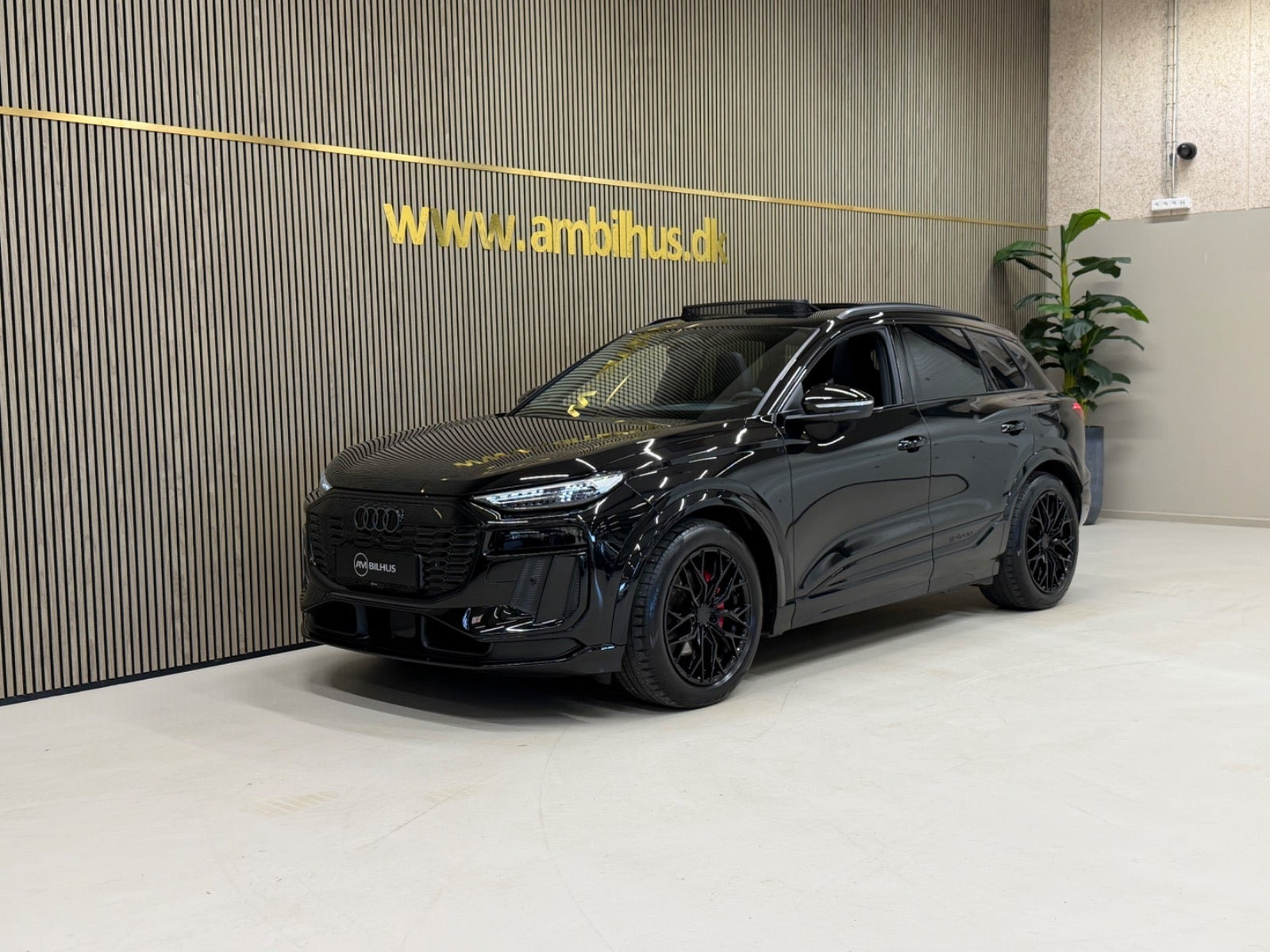 Audi Q6 e-tron S-line quattro