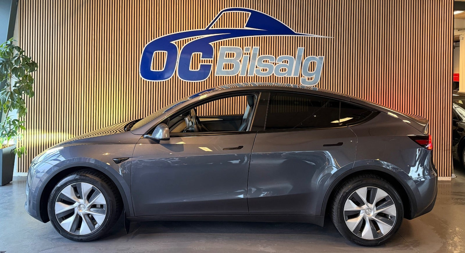 undefined Tesla Model Y fra 2021