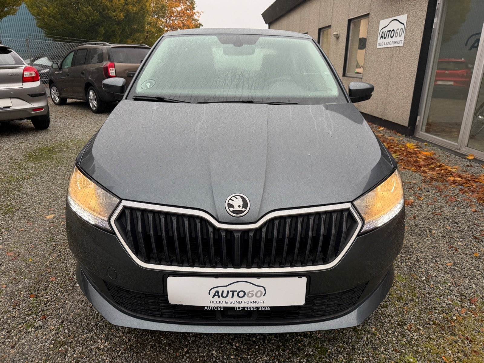 Grå Skoda Fabia fra 2020