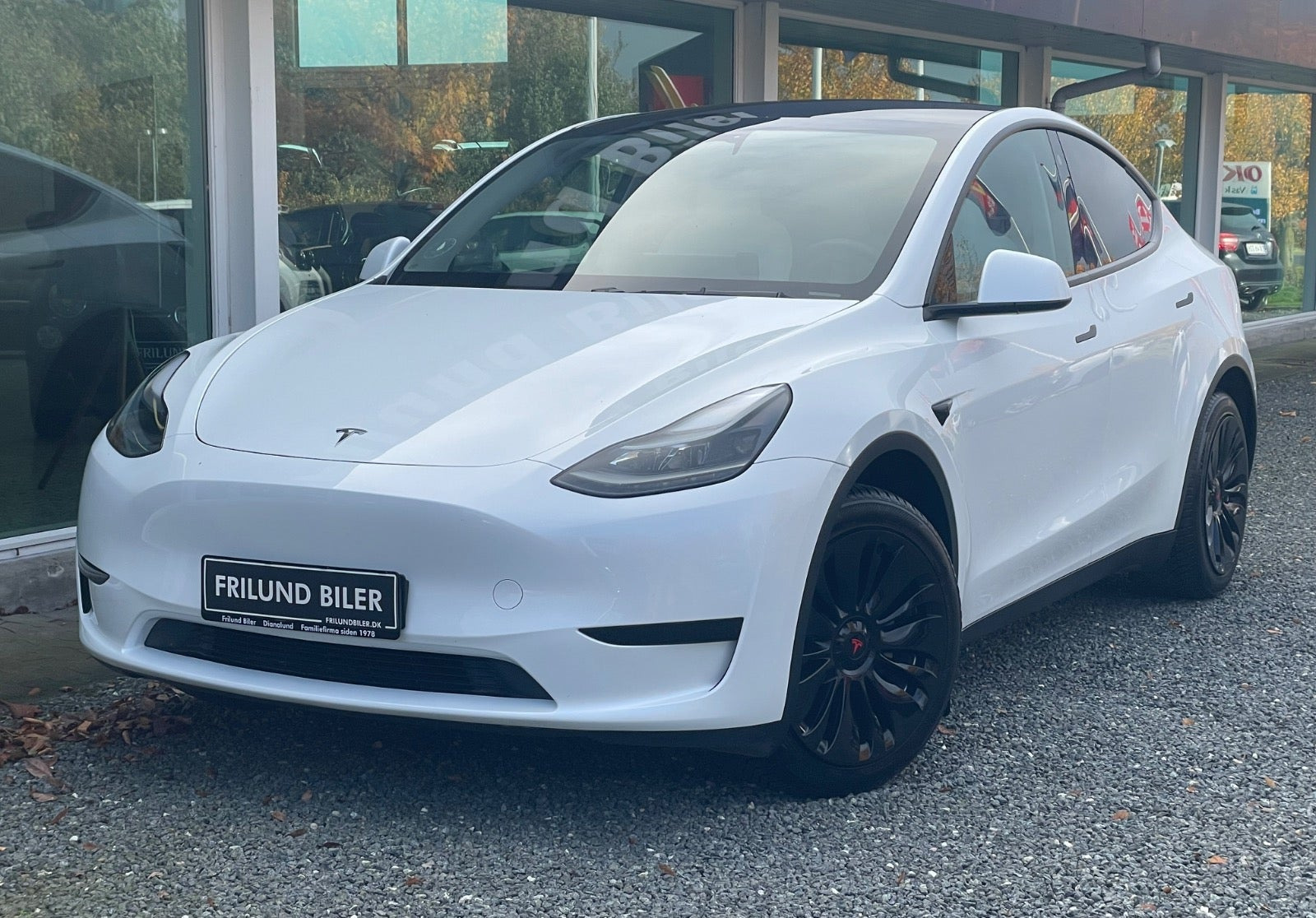 Tesla Model Y RWD