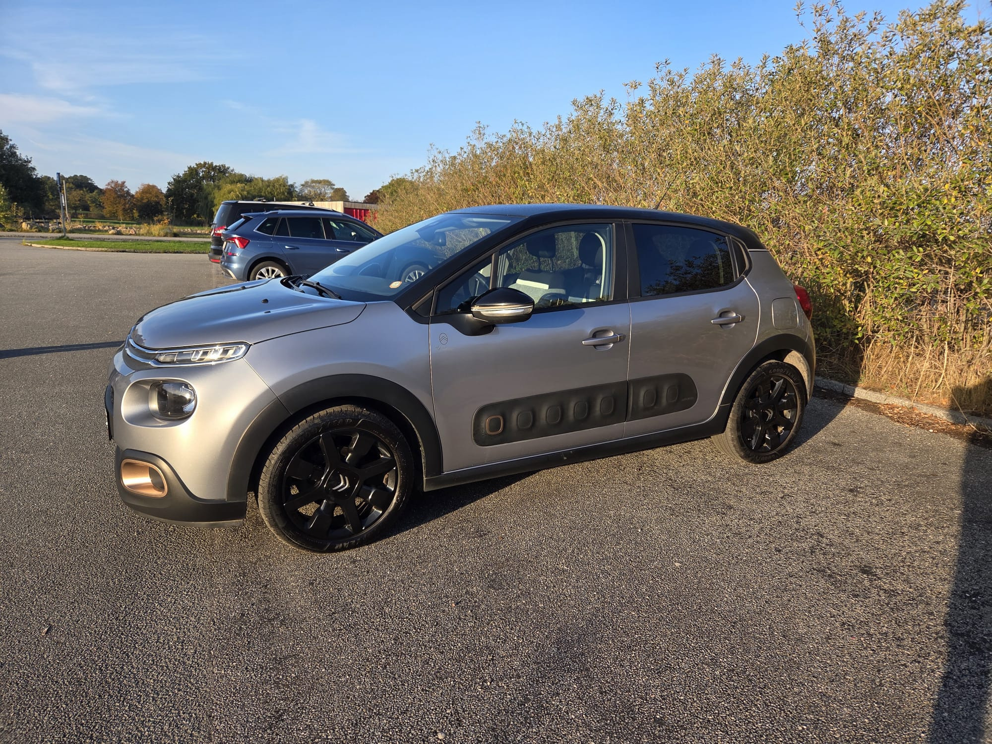 Grå Citroën C3 fra 2020
