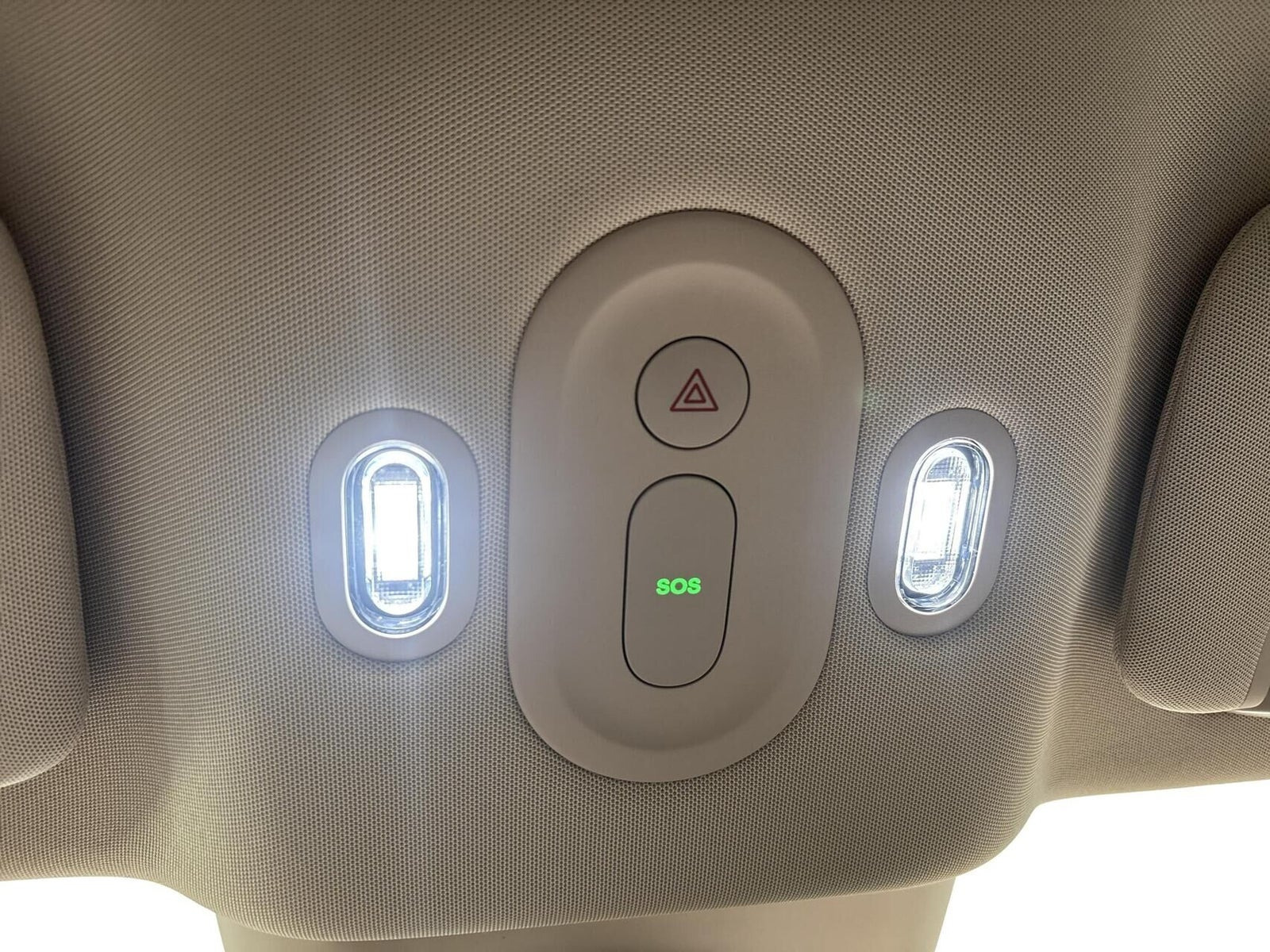 Grå firefly firefly fra 2025