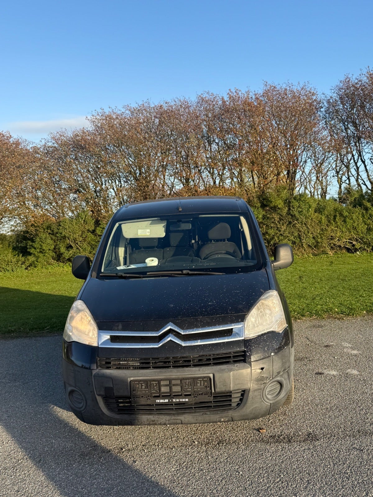 undefined Citroën Berlingo fra 2008