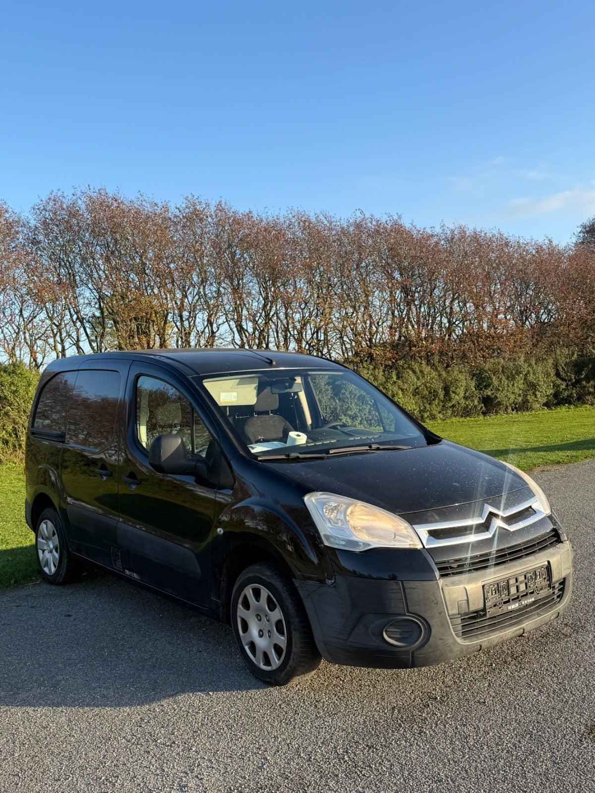 undefined Citroën Berlingo fra 2008