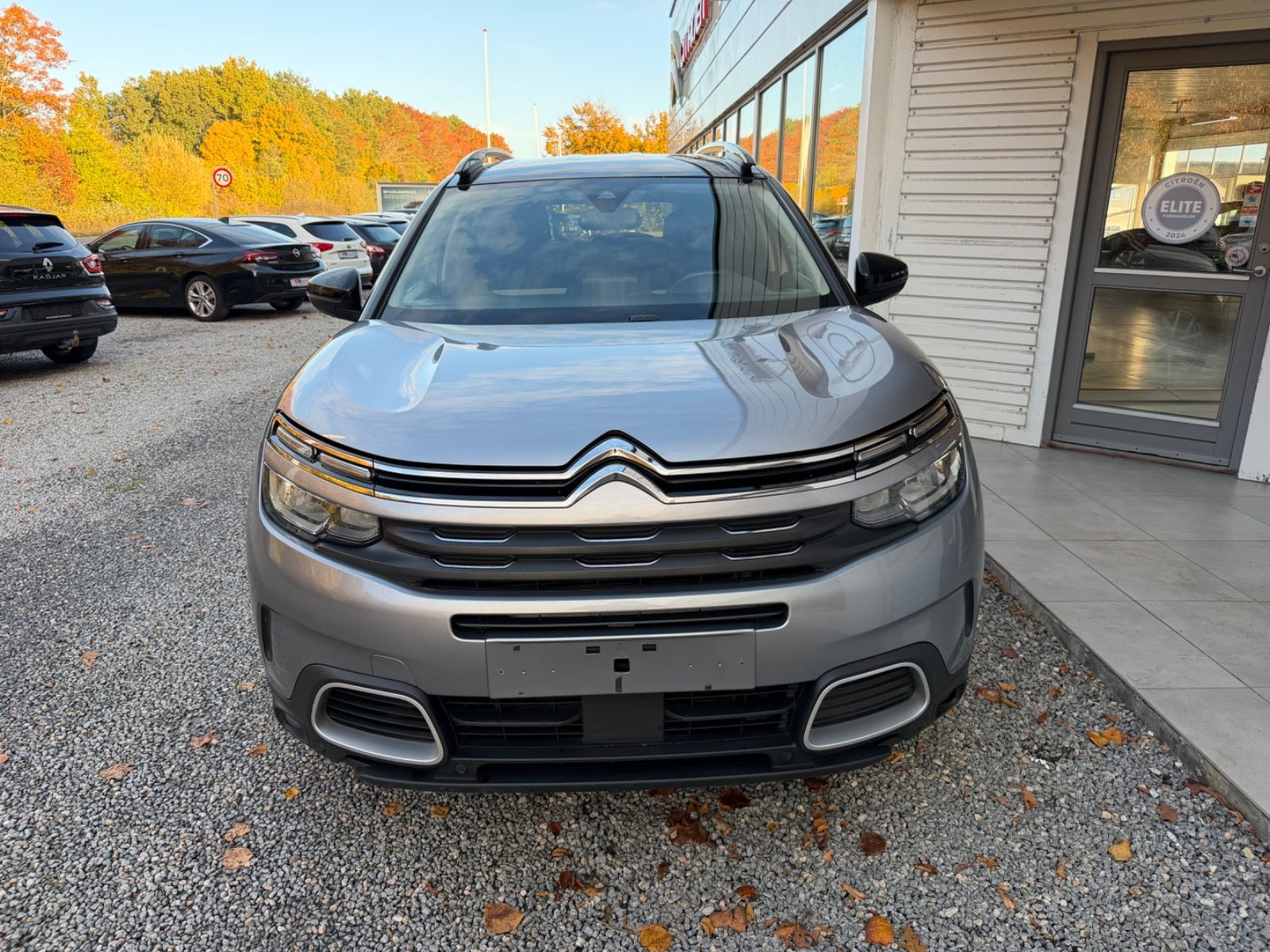 Sølv Citroën C5 Aircross fra 2019