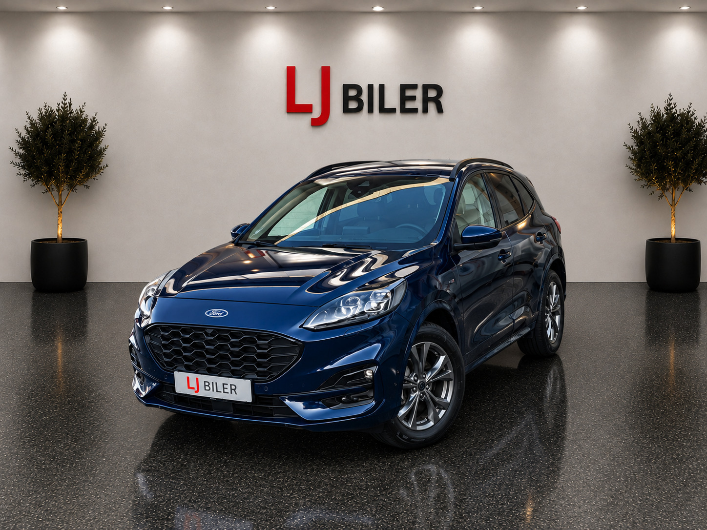 Ford Kuga 2,5 PHEV ST-Line CVT