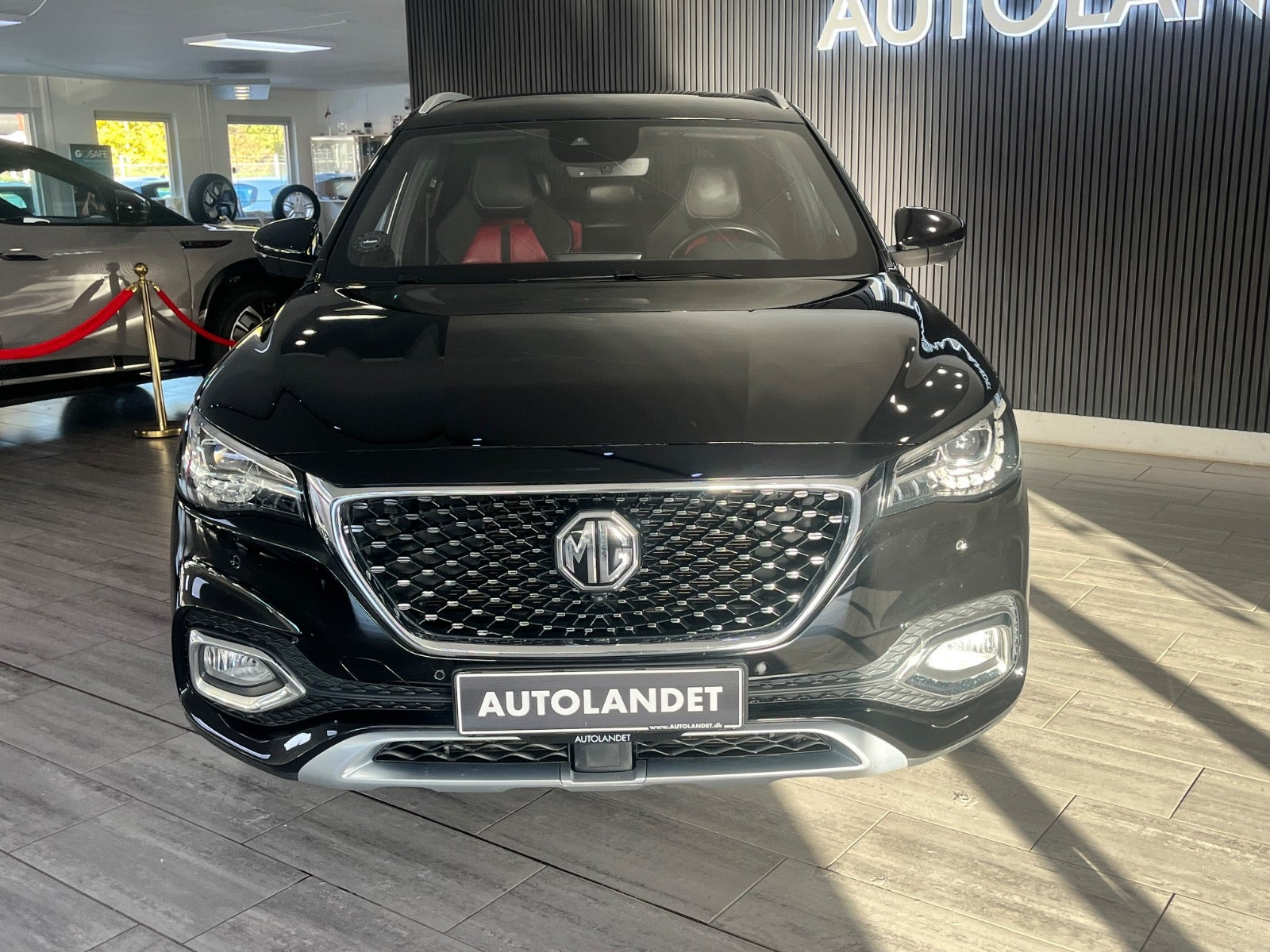 Sort MG EHS fra 2021
