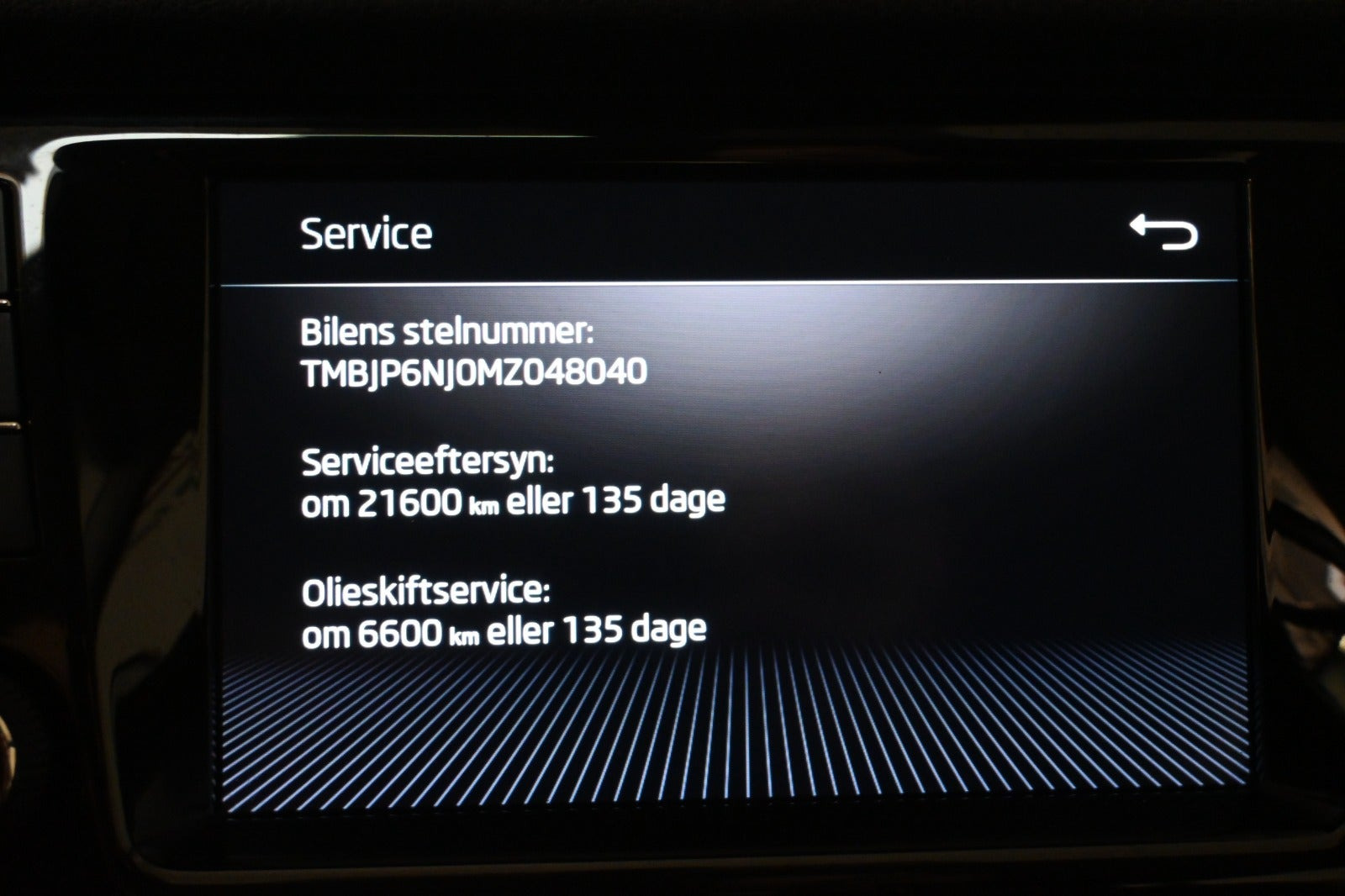 Sort Skoda Fabia fra 2021
