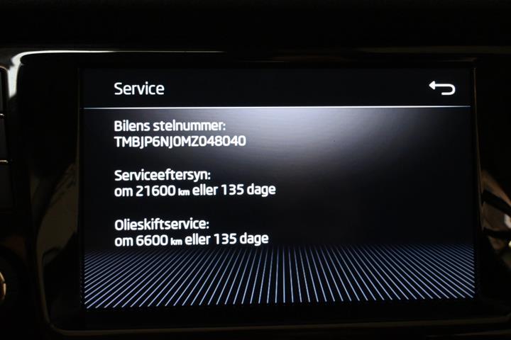 Sort Skoda Fabia fra 2021
