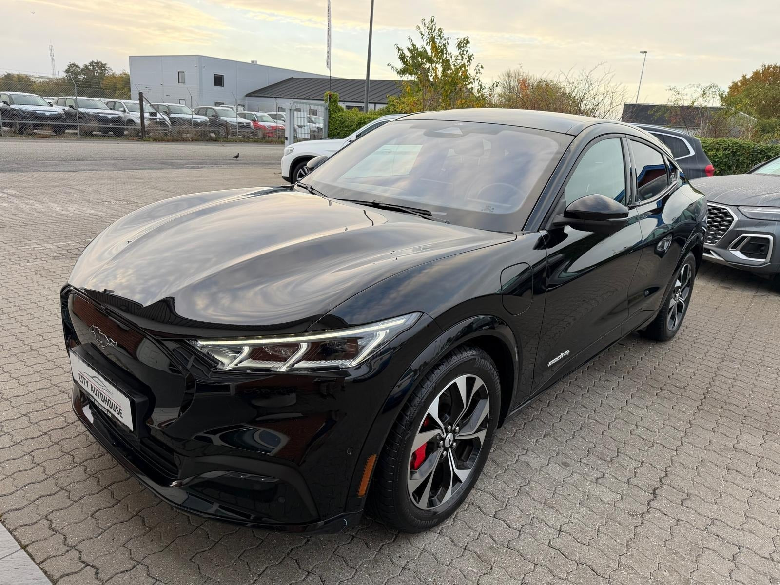 undefined Ford Mustang Mach-E fra 2023