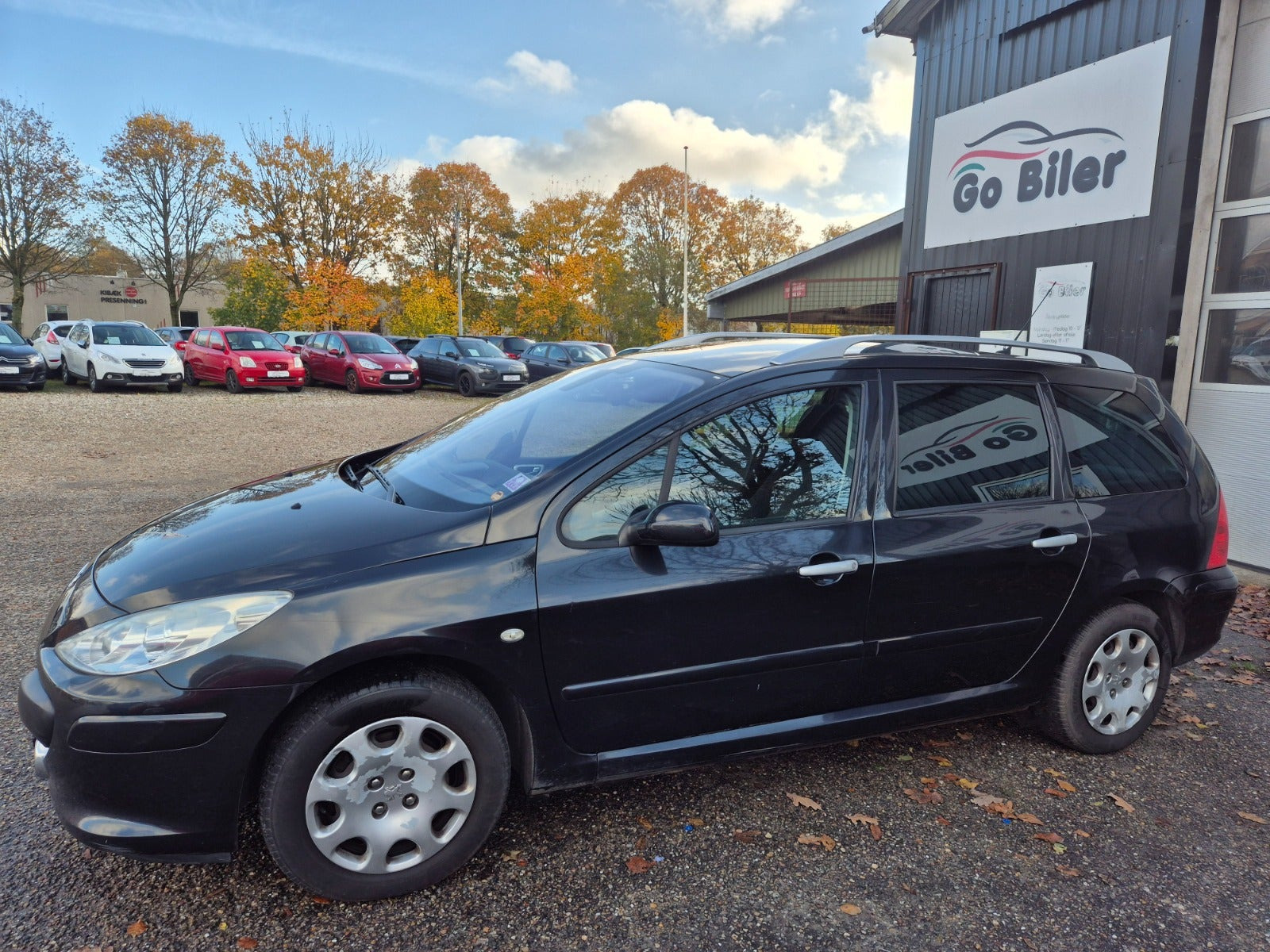 Grøn Peugeot 307 fra 2007