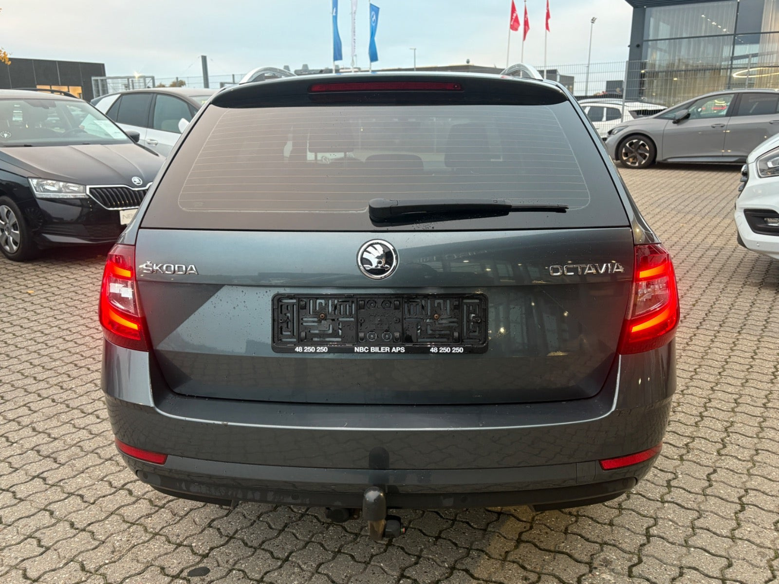 Beige Skoda Octavia fra 2019