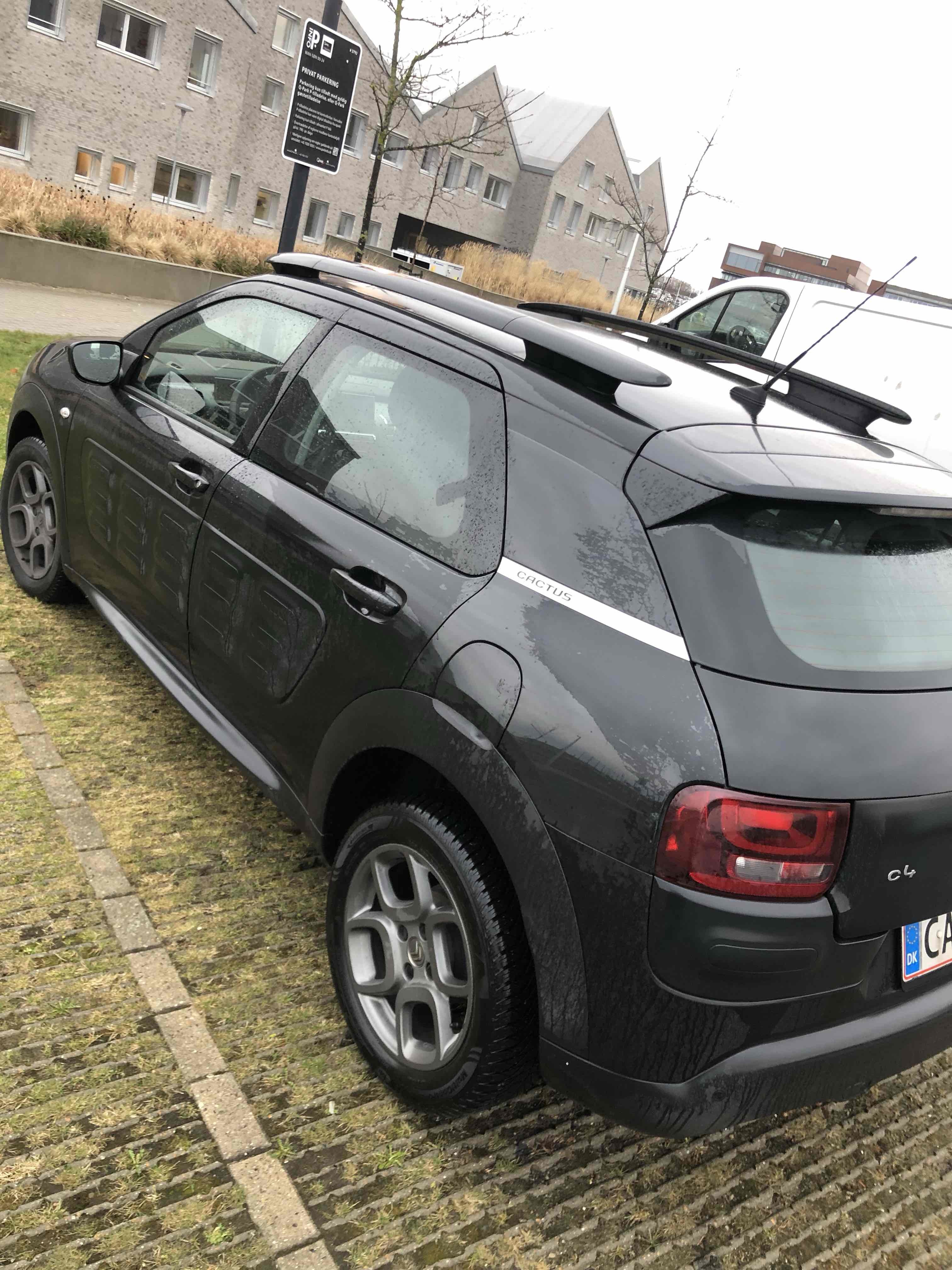Sort Citroën C4 Cactus fra 2017