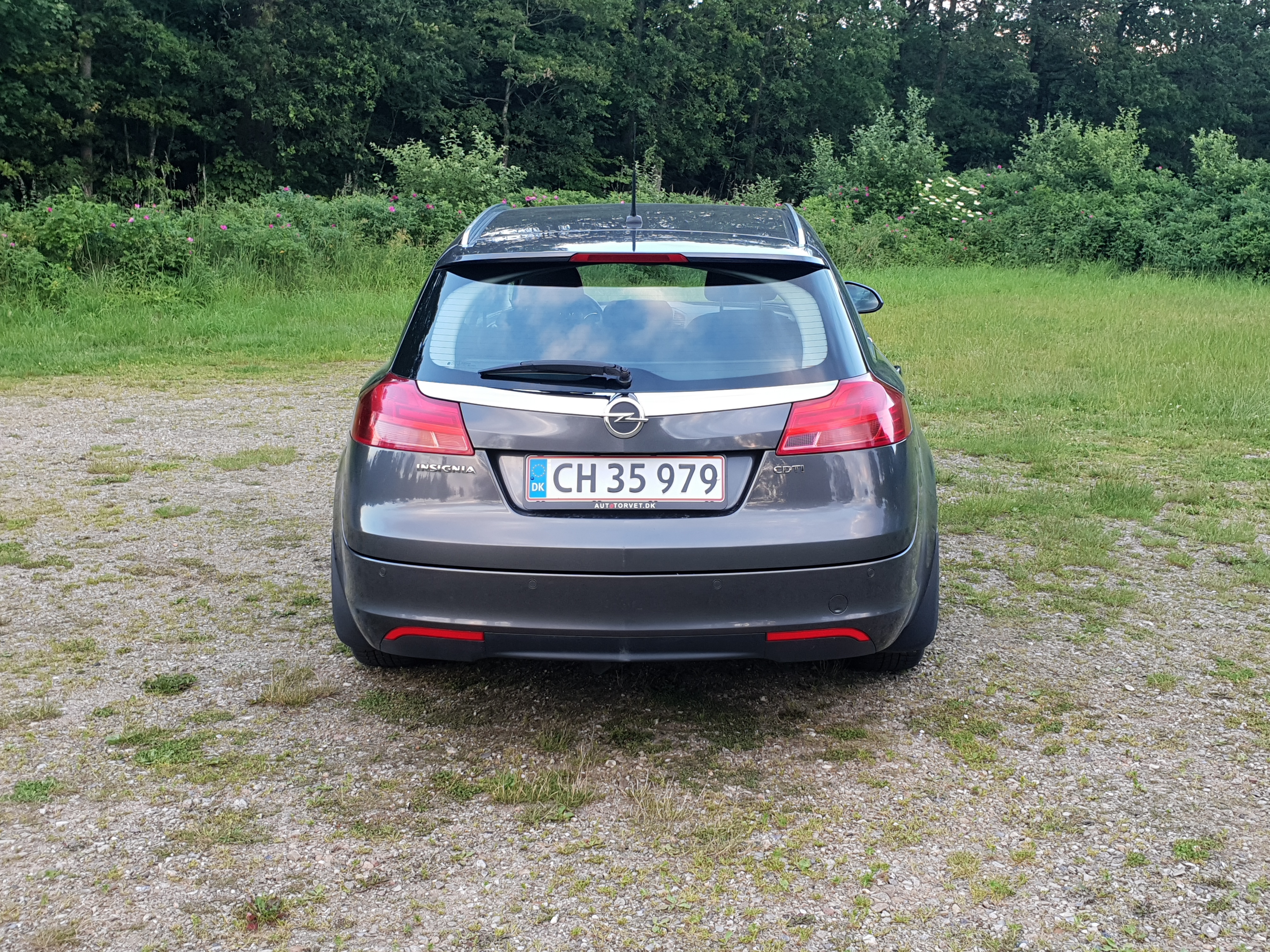 Grå Opel Insignia fra 2011
