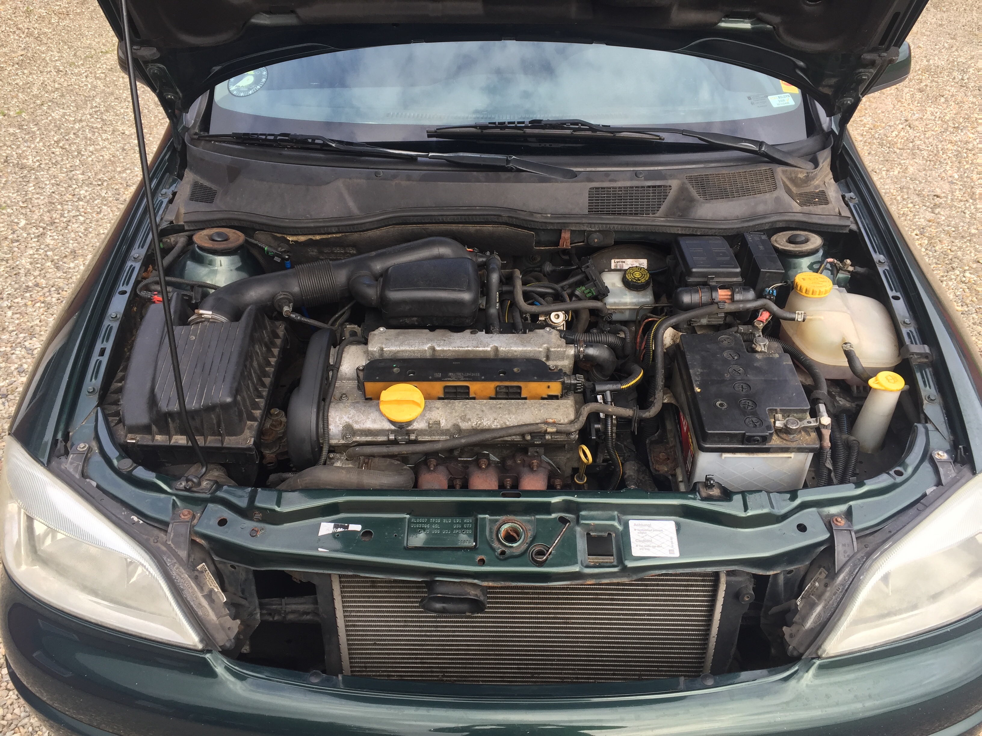 Grøn Opel Astra fra 1999