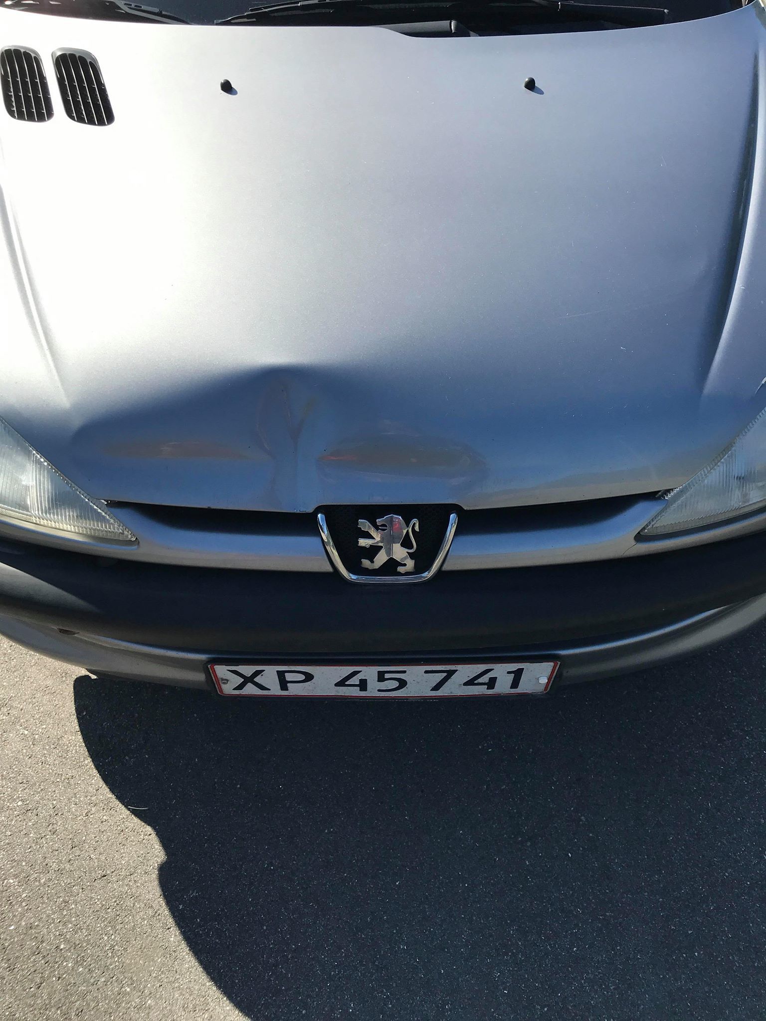 Grå Peugeot 206 fra 2001