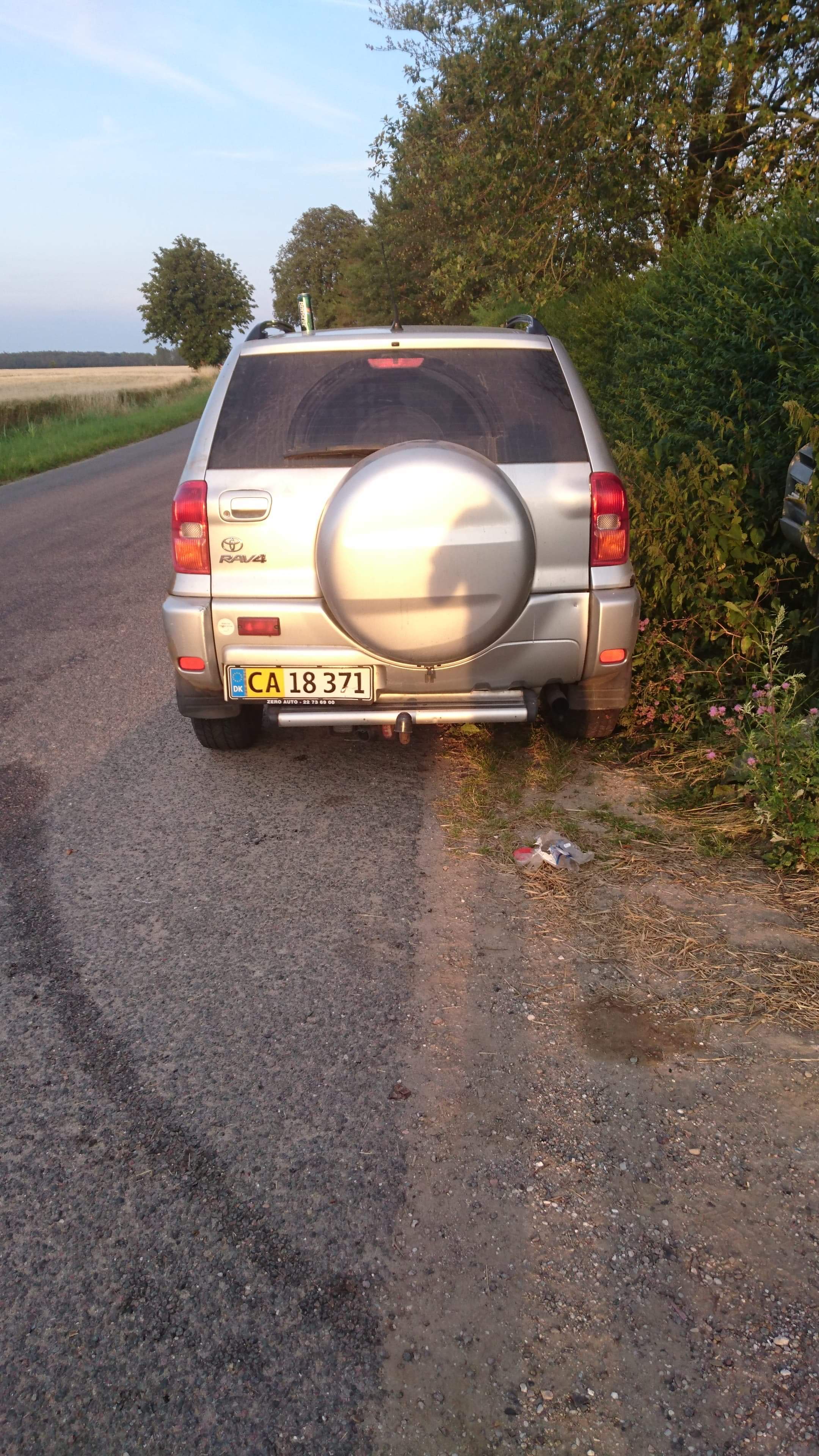 Grå Toyota RAV4 fra 2002