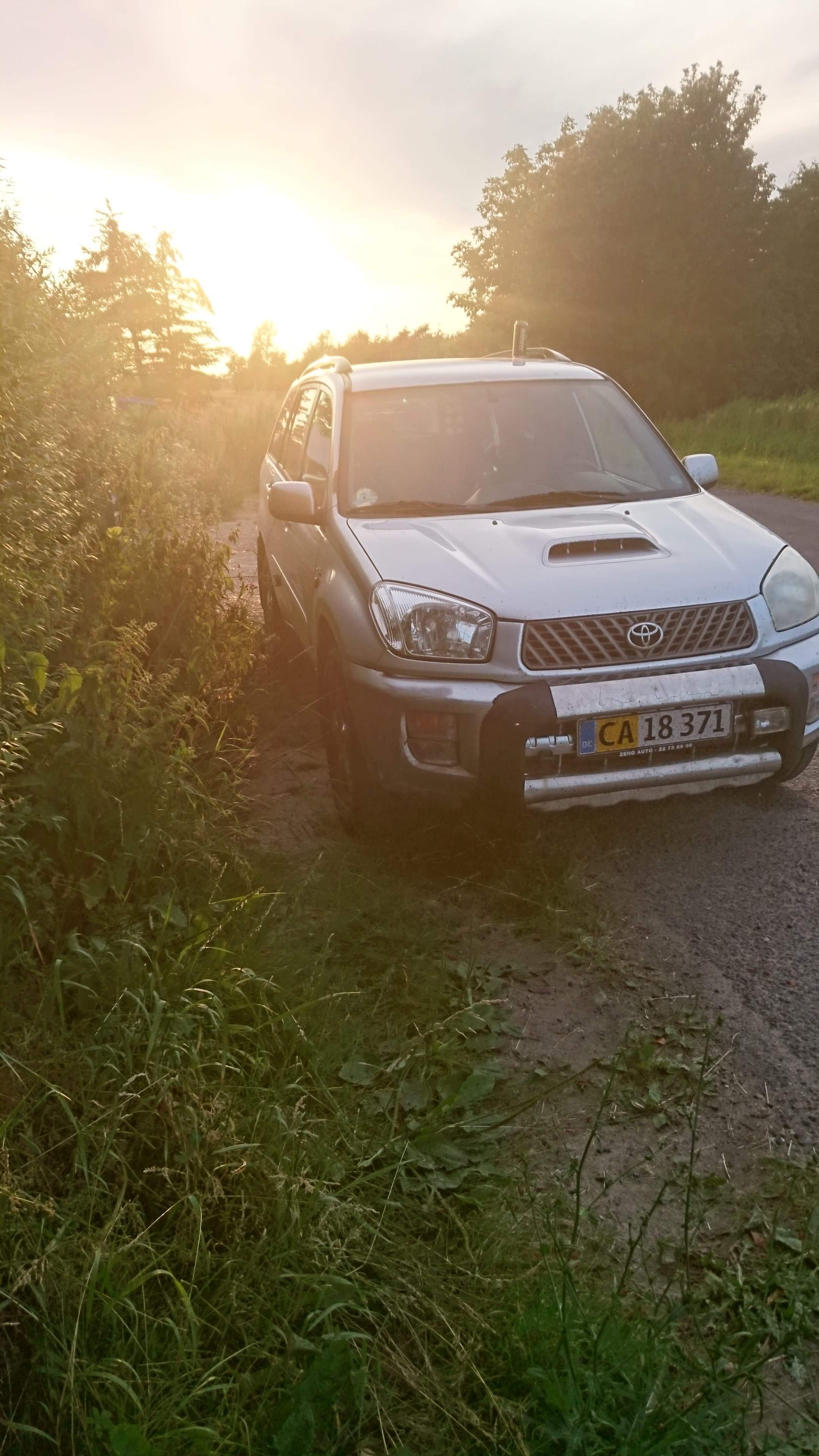 Grå Toyota RAV4 fra 2002